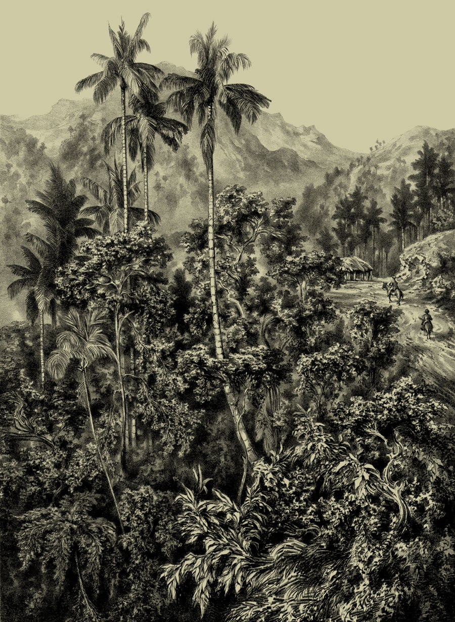 Von Humboldt's Jungle